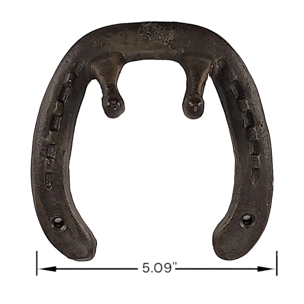 Cast Iron Horseshoe Good Luck Hook